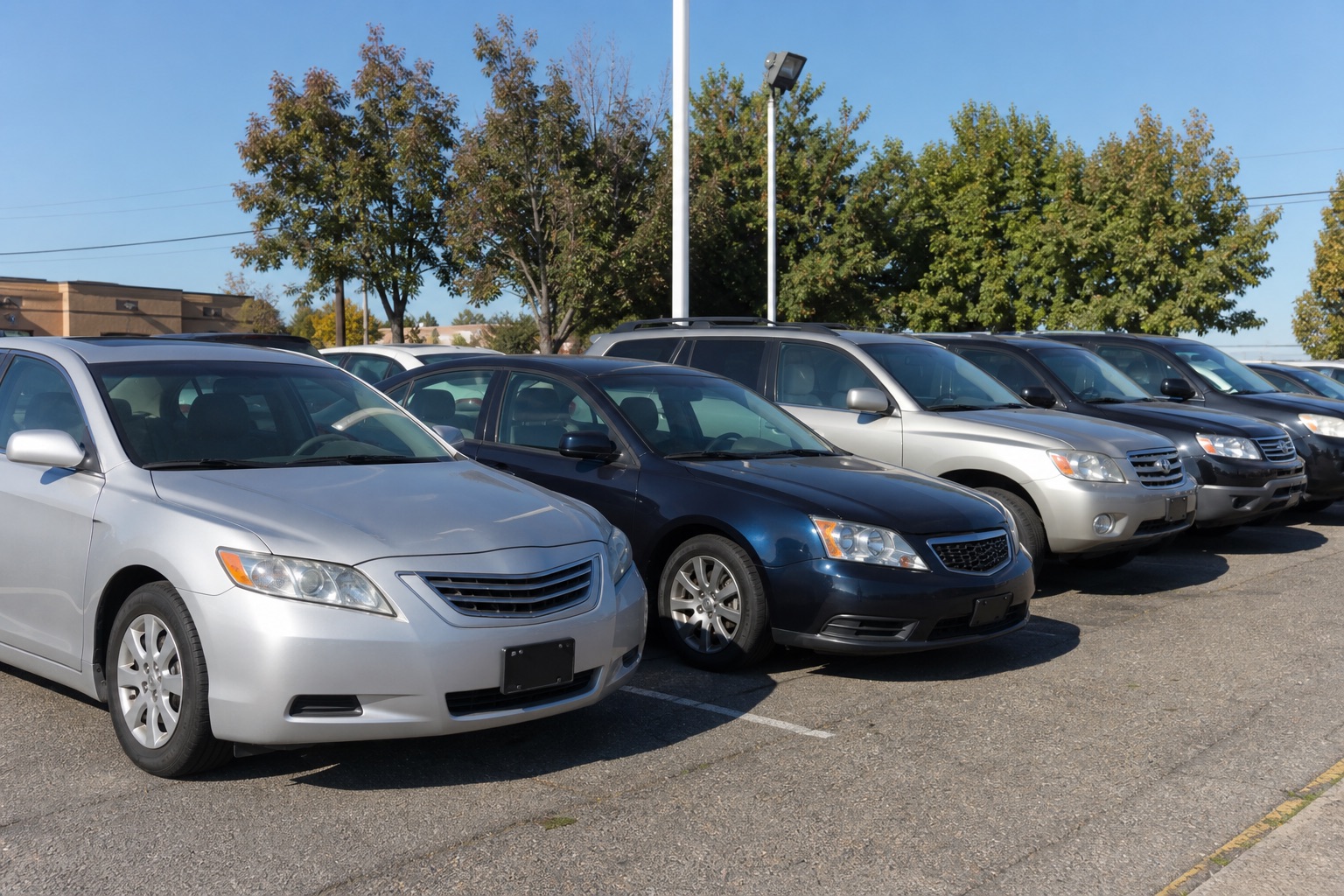 Used cars on a dealership lot